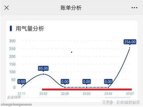 长春客服最新爆料信息,揭秘城市服务背后的故事