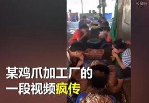 网友爆料吃鸡脚视频,吃鸡脚视频引发热议,揭秘网络直播背后的秘密 第2张 网友爆料吃鸡脚视频,吃鸡脚视频引发热议,揭秘网络直播背后的秘密 第2张